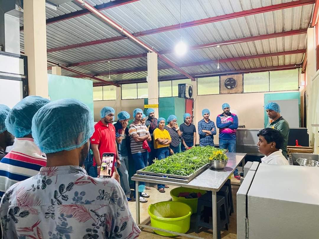 Field Visit by National Institute of Plantation Management Students to Saviru Spices & Naturals